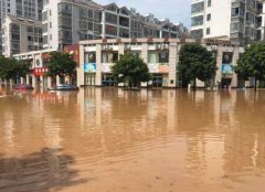 平安人壽贛州中支積極參與瑞金抗洪救災(zāi)行動