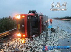 上饒：運(yùn)魚車高速側(cè)翻 9噸鮮魚&ldquo;路上游&rdquo;