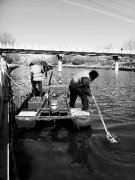 北京昆玉河水面漂油污近40米 排污源未找到(圖