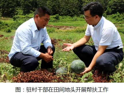 推動(dòng)主題教育見(jiàn)行見(jiàn)效  為鄉(xiāng)村振興戰(zhàn)略貢獻(xiàn)國(guó)壽力量