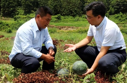 推動(dòng)&ldquo;百千萬工程&rdquo;落地  國壽壽險(xiǎn)著力提升服務(wù)鄉(xiāng)村振興實(shí)效