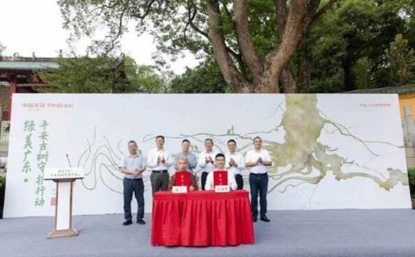 中國平安發(fā)布&ldquo;綠美廣東&middot;平安古樹守護行動&rdquo;  為廣東古樹名木提供超2600萬風險保障