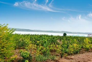 2024，這份民生答卷請查收